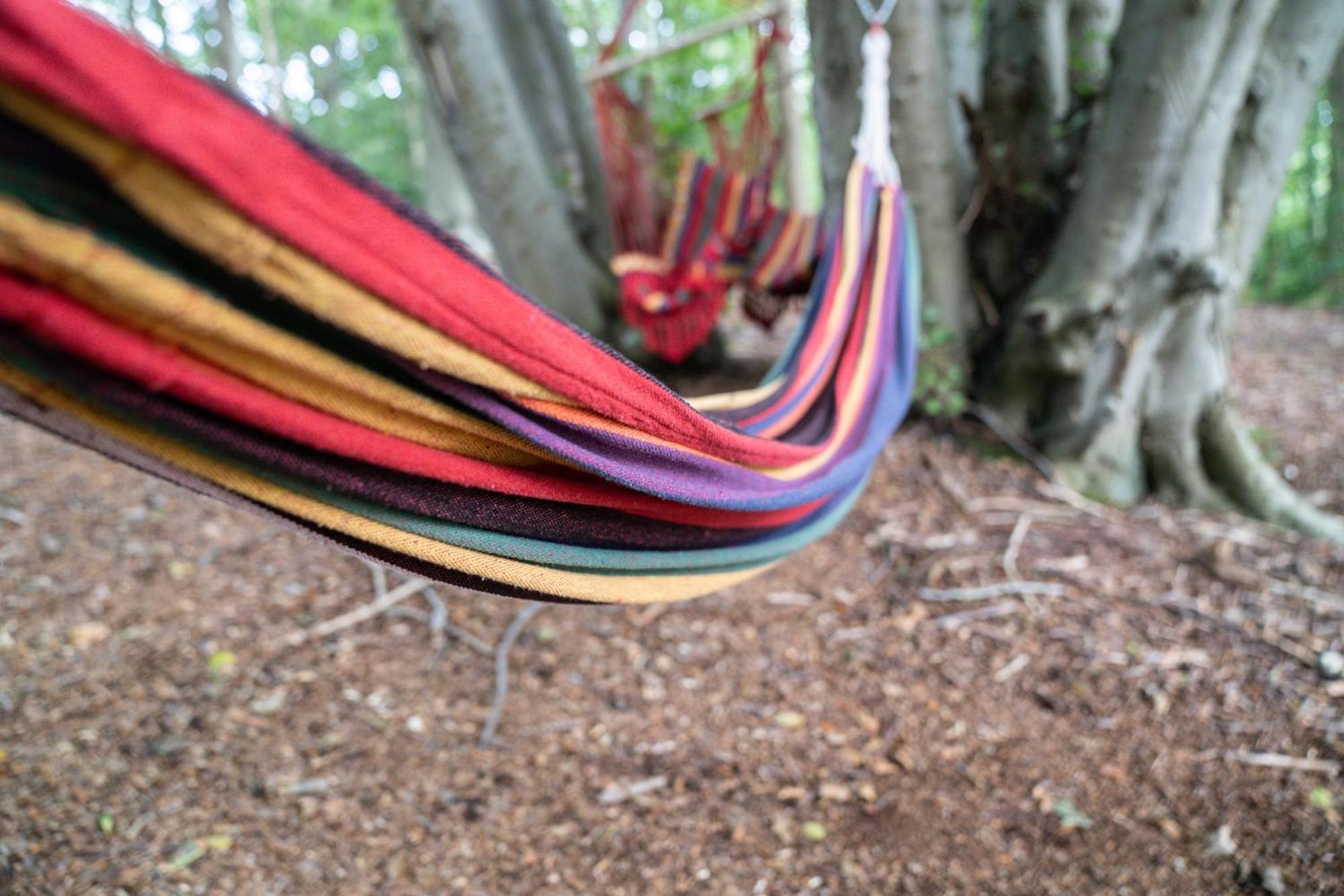 Gites 4,6 Personnes Fecamp Etretat Colleville エクステリア 写真