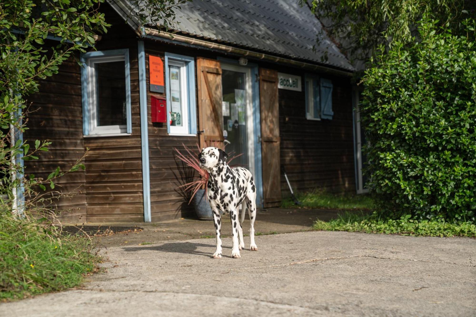 Gites 4,6 Personnes Fecamp Etretat Colleville エクステリア 写真